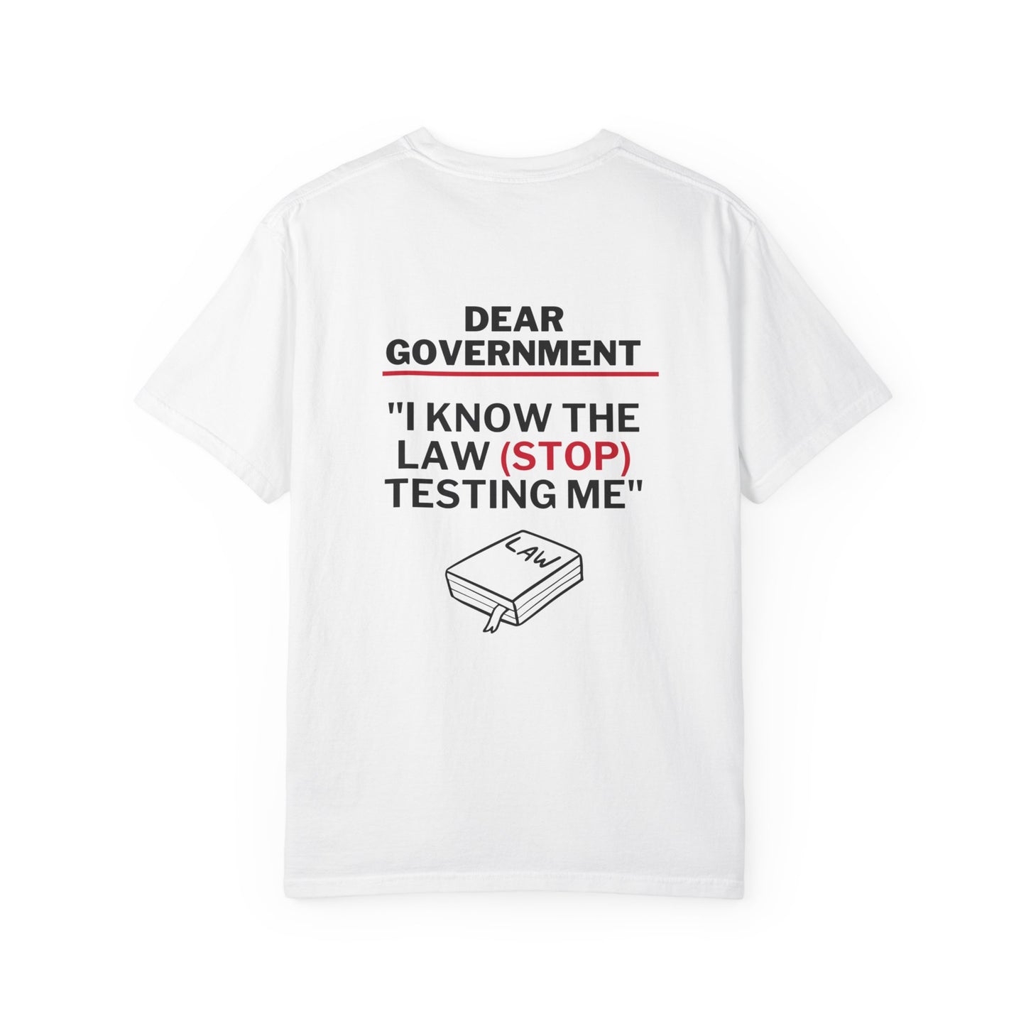 Government Humor T-Shirt, Funny Law Shirt, Unisex Graphic Tee, Gift for Law Students, Sarcastic Statement Top