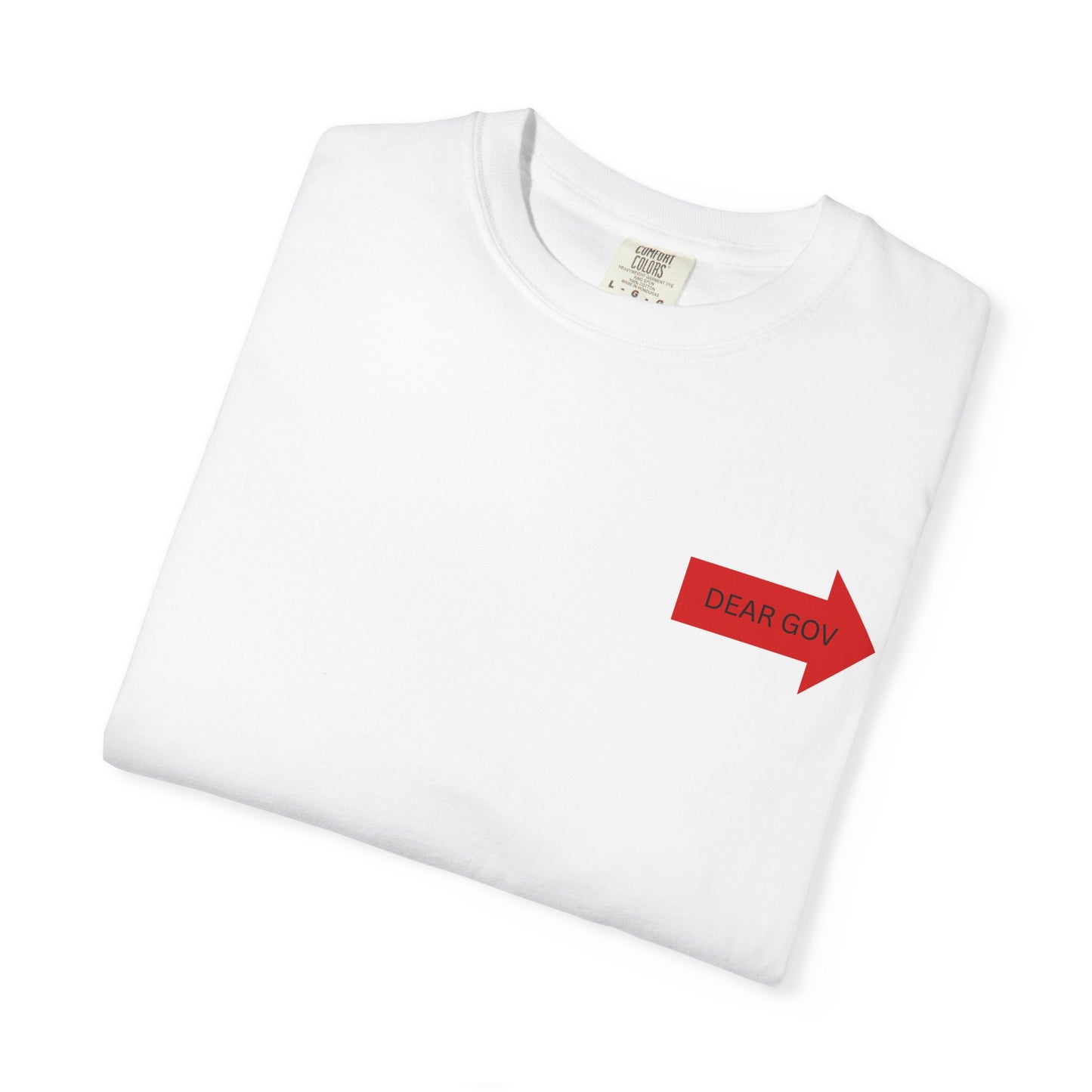 Pride Statement T-Shirt, LGBTQ+ Rights Tee, Equal Rights Apparel, Unisex Protest Shirt, Garment-Dyed Advocacy Wear