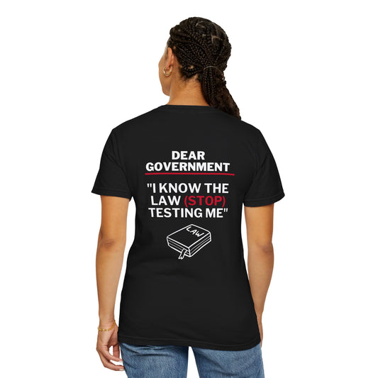 Government Awareness T-Shirt, Political Statement Tee, Bold Message Apparel, Funny Legal Humor Shirt, Activism Wear, Gifts for Advocates